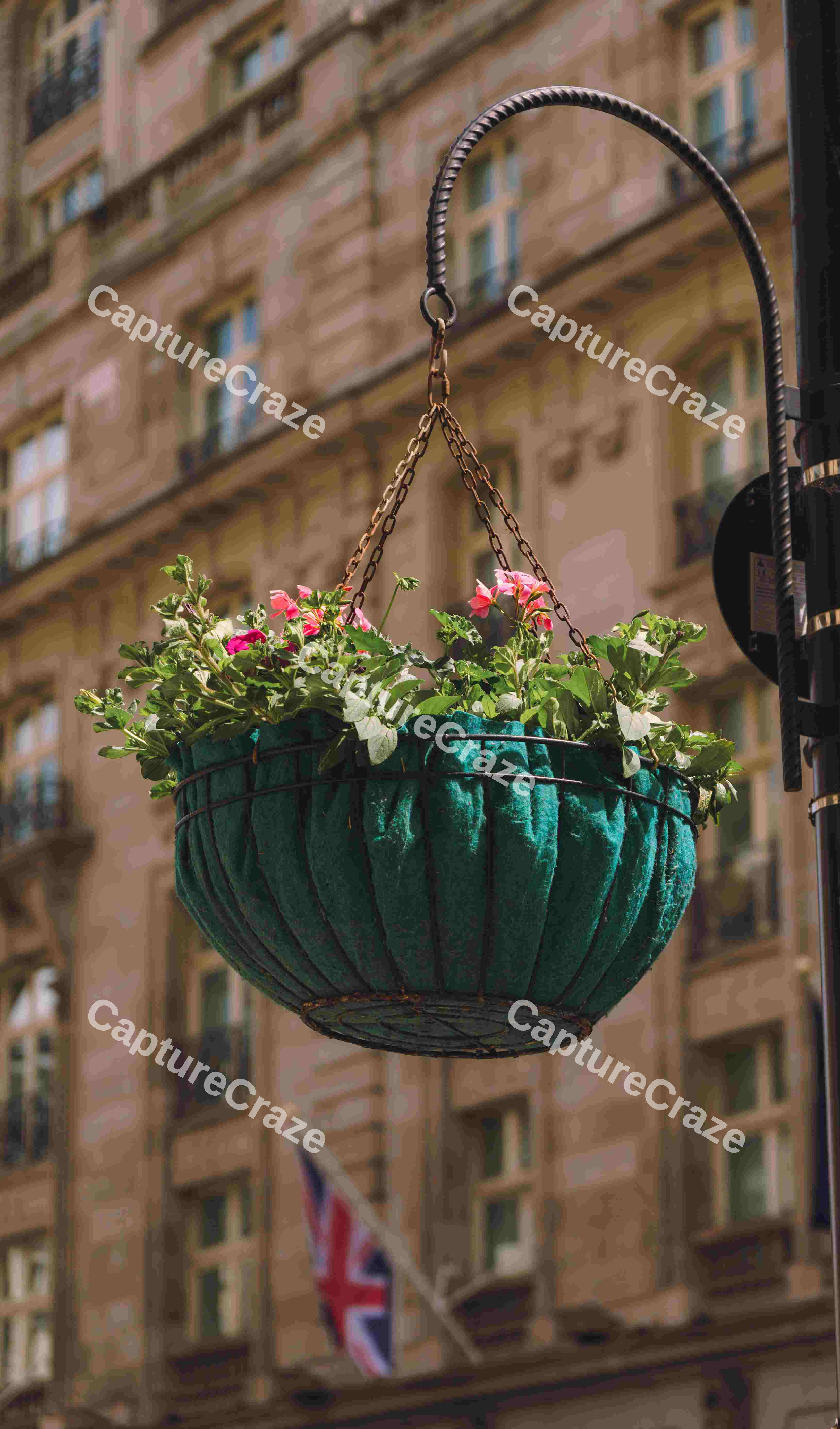Hanging Flower Pot